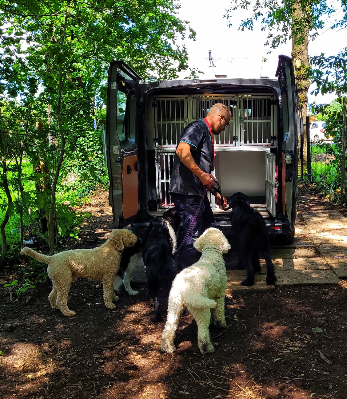 Impressie speelbos 6