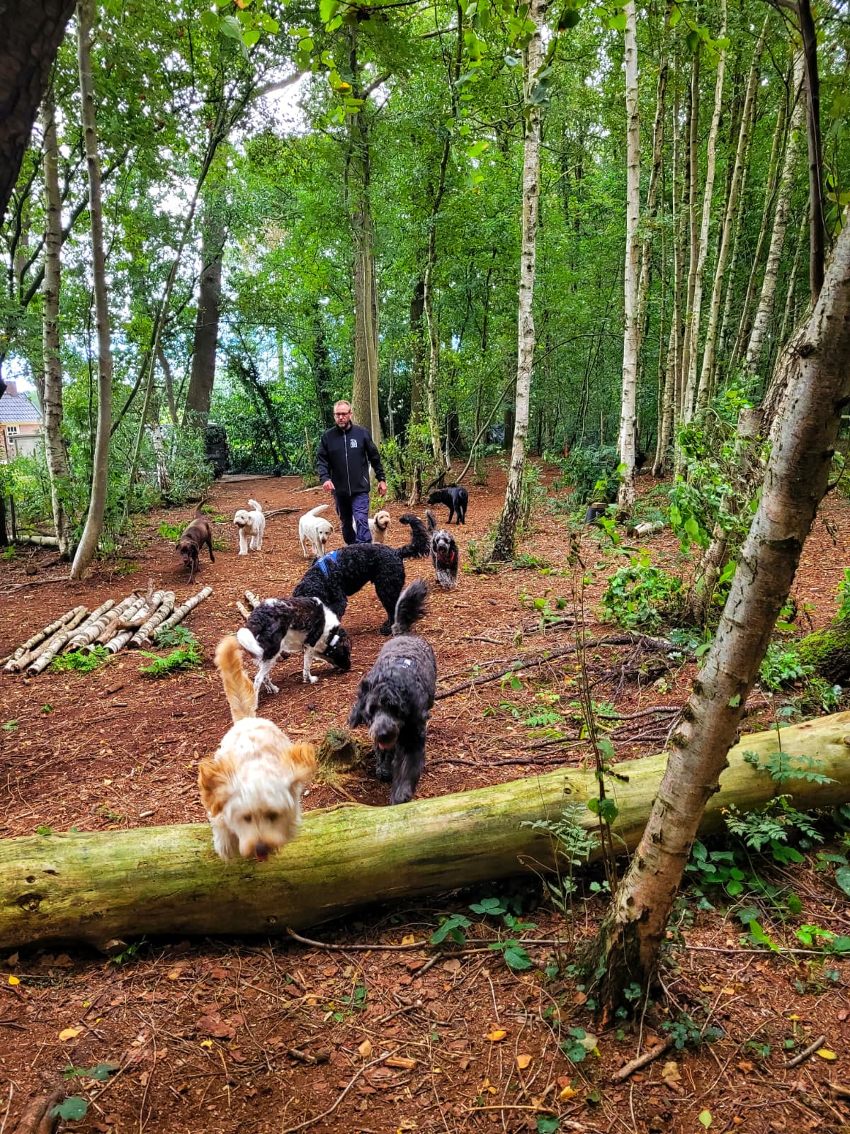 Placeholder afbeelding