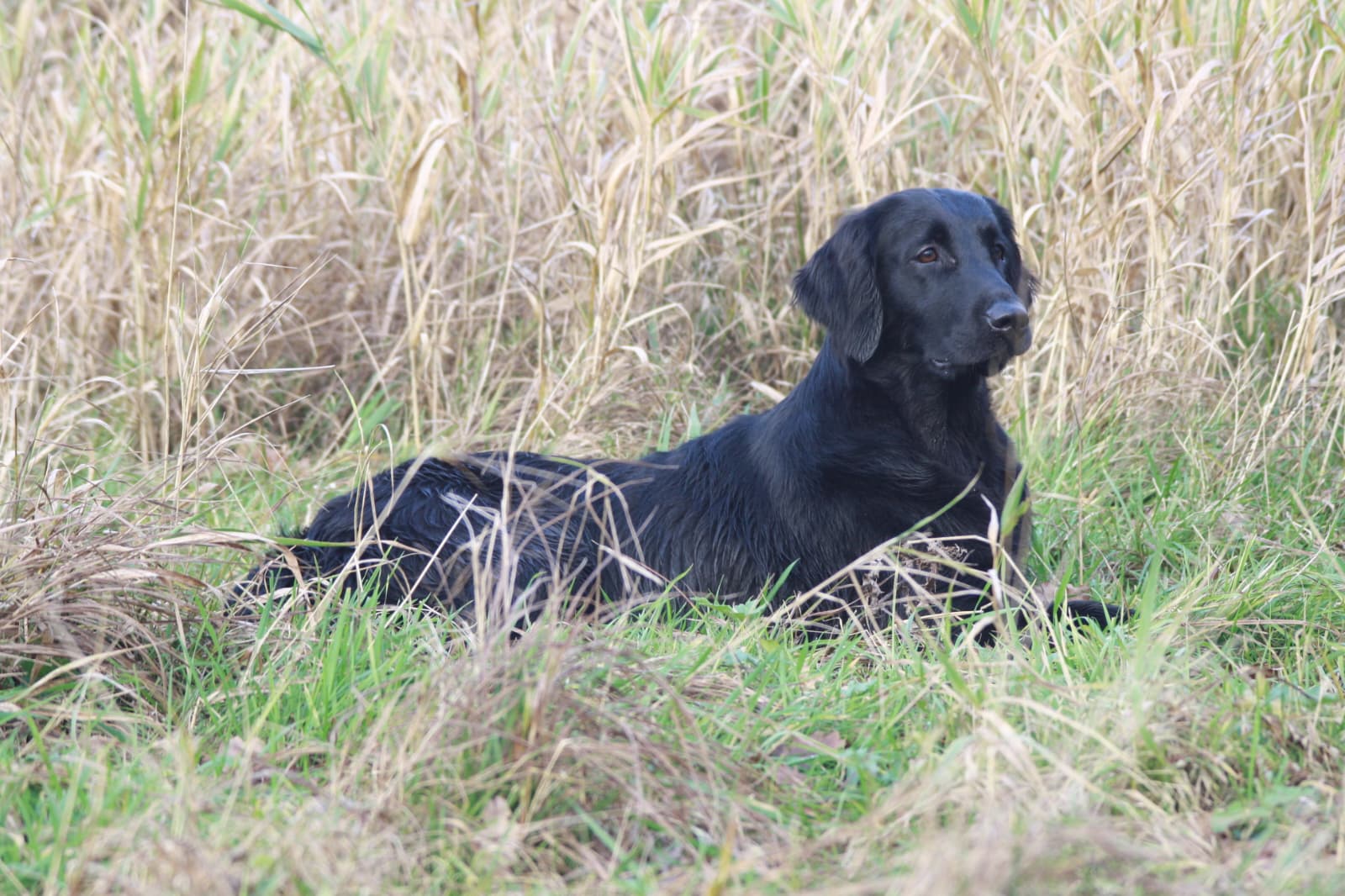 Placeholder afbeelding