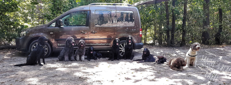 Impressie speelbos 1