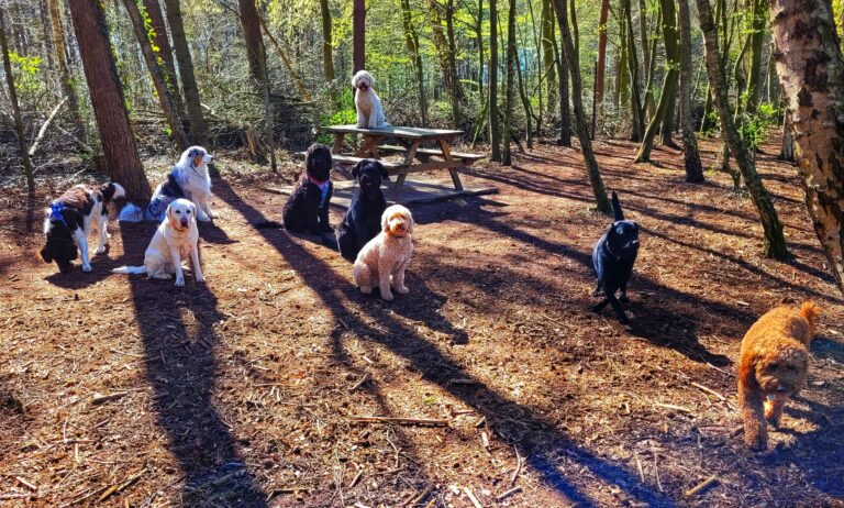 Impressie speelbos 2