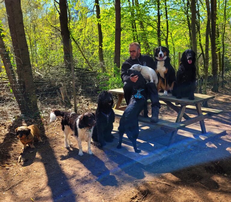 Impressie speelbos 3